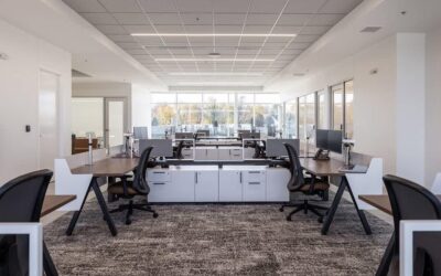 Office Renovation: Key Considerations and Expert Tips for a Successful Project
